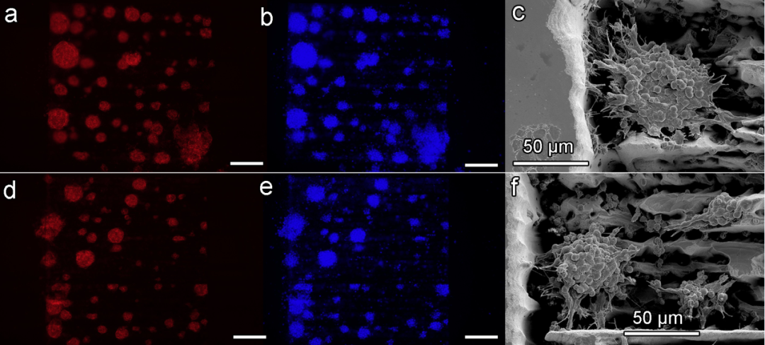 1603868452468341.png 222.png