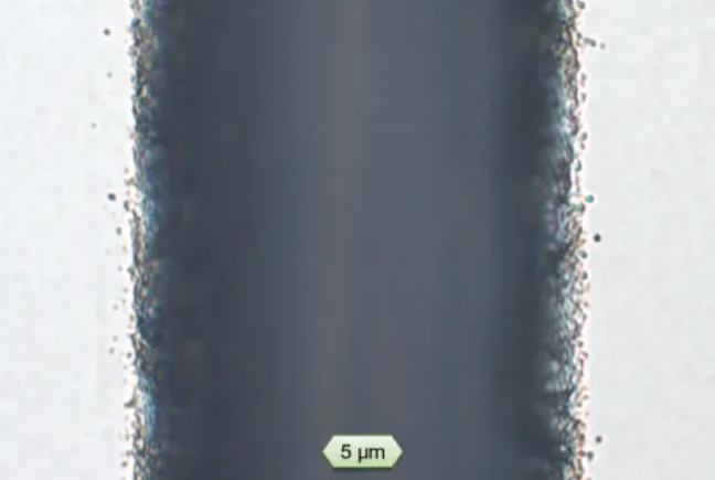 1729843530994083.png 微信截圖_20241025160520.png